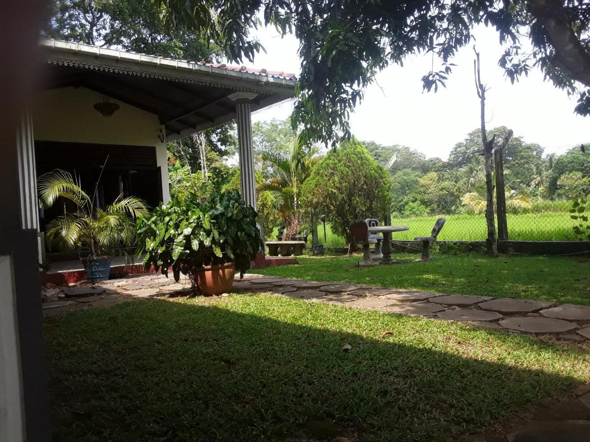 Hansika Guest Inn Buttala Extérieur photo