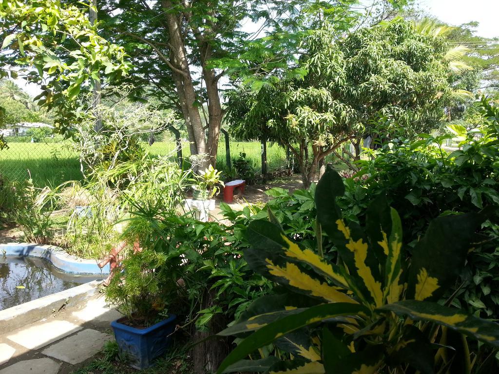 Hansika Guest Inn Buttala Extérieur photo