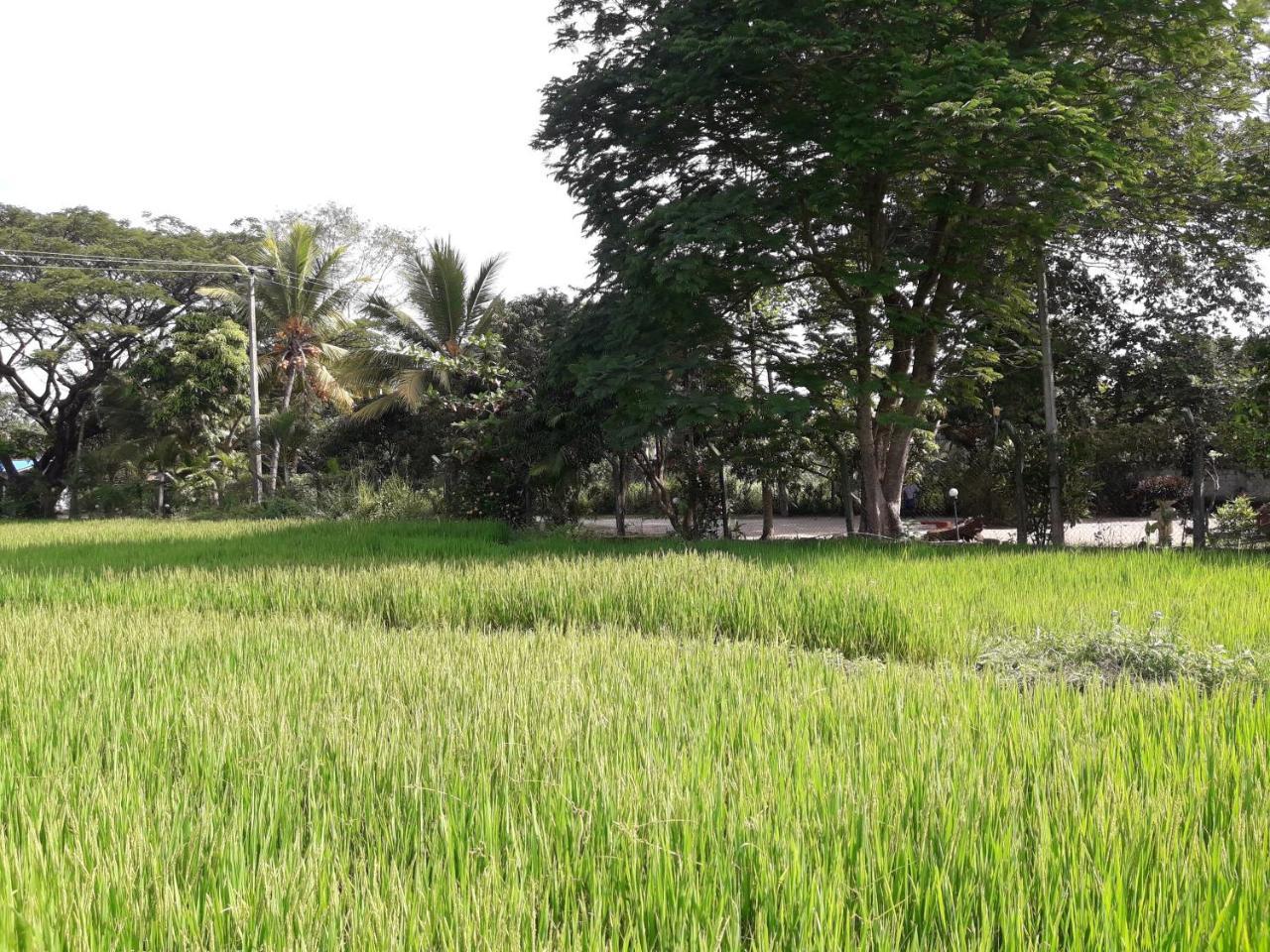 Hansika Guest Inn Buttala Extérieur photo
